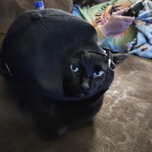 Meet your Posher, Jesse